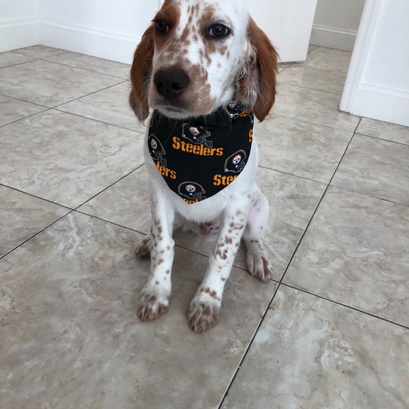 Meet your Posher, Catherine - Picture 1 of 1